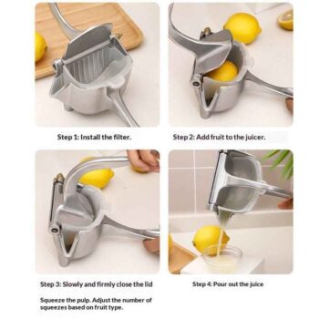 portable fruit press