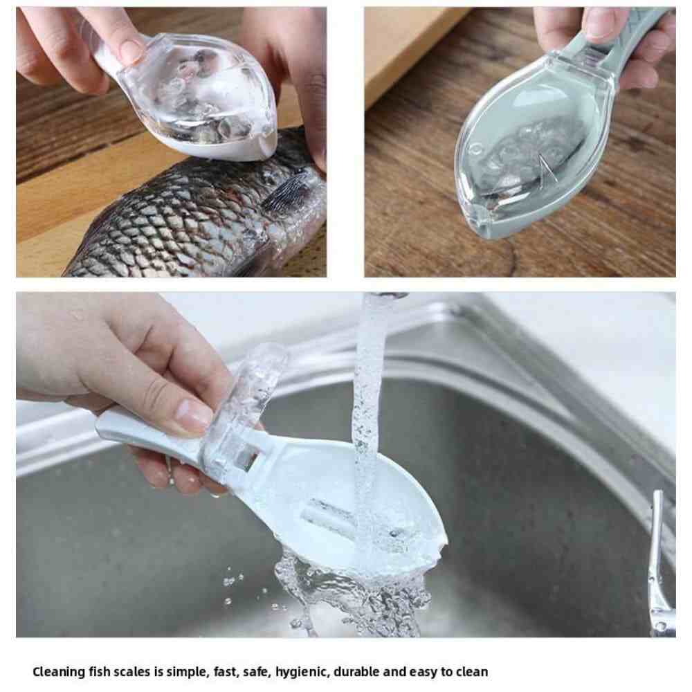 fish scaler tool seafood cleaning tool